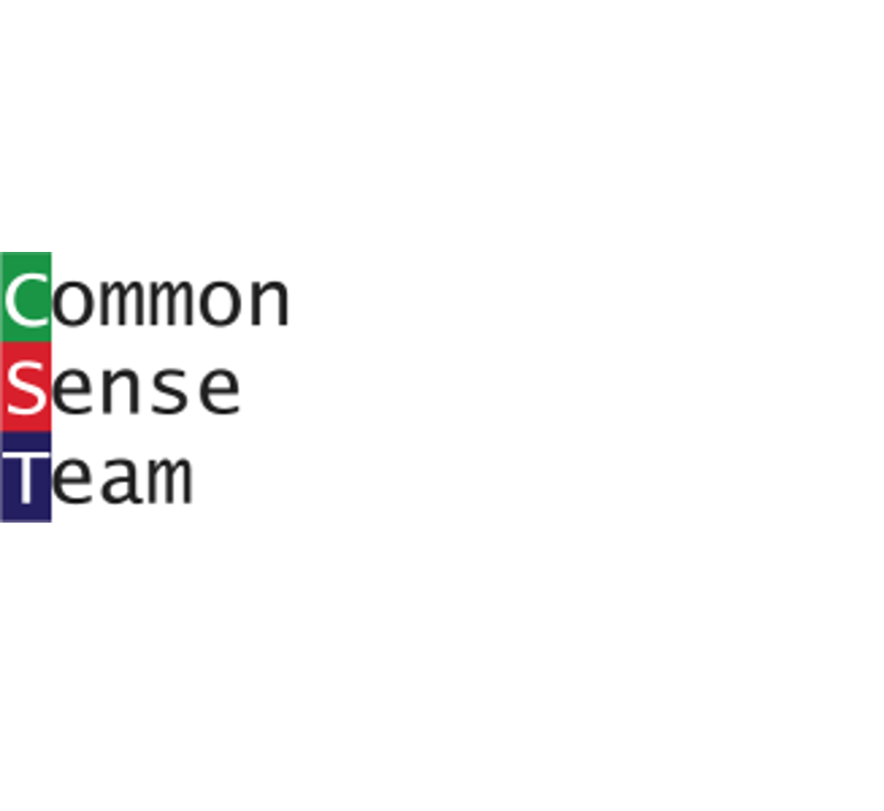 Commonsense-Team